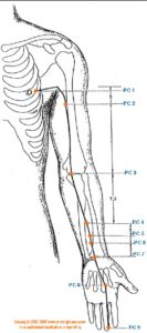 Kringloopmeridiaan:hartbeschermer-acupunctuur - Gezondheid! - houding verbeteren-geluk- stress