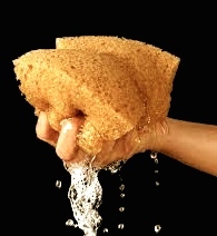 spons,doorstroom,circulatie, ontgiften, bewegen,masseren, stretch-gezondheid