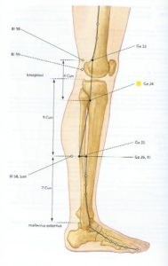 galblaas34-gezondheid-hoofdpijn-schouderpijn-misselijkheid-acupressuur