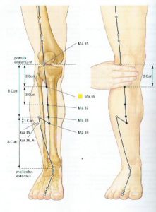 maag36-misselijkheid.buikpijnimmuunsysteem-hoofdpijnstressvermoeidheid-acupressuur
