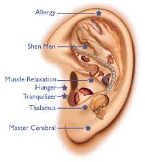 ooracupunctuur-eetlust_remmen-gezondheid-acupressuur