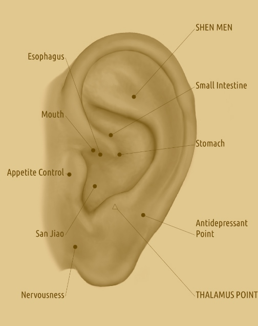 ooracupunctuur-eetlust-remmer-gezondheid