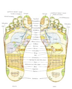 Voetreflexologie.uit:Het Subtiele Lichaam