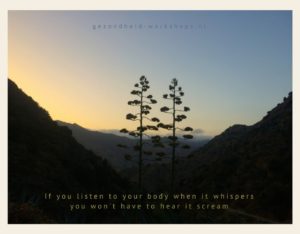 DUMP JE STRESS.gezondheid-workshops. burnout symptomen, stress, hoofdpijn, vermoeidheid, overspannen, onstpannen.Jeanine Theunissen. stress op kantoor, vitaliteit op de werkvloer, ontspannen op je werk, Wereldconditie, burnout preventie