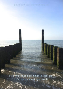 Workshop Dump je stress, gezondheid-workshops, burn out symptomen, overspannen, vermoeidheid, stress symptomen, stress verminderen, ontstressen concentratieproblemen, hoofdpijn, rugpijn, schouderpijn, mindfulness quotes, ontspannen, .Jeanine Theunissen, vitaliteit op de werkvloer